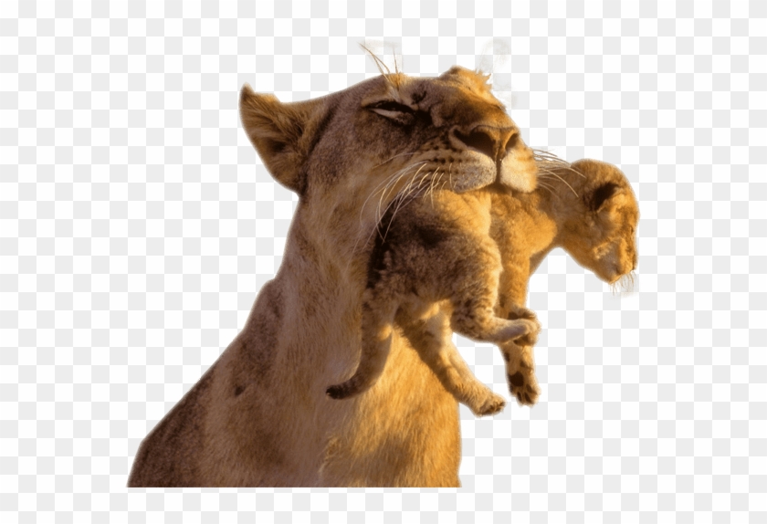 Animals With Transparent Background Clipart #1410061