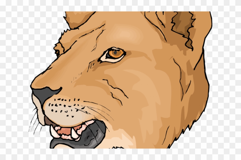Lioness Clipart Fossa - Lion Face Coloring Page - Png Download