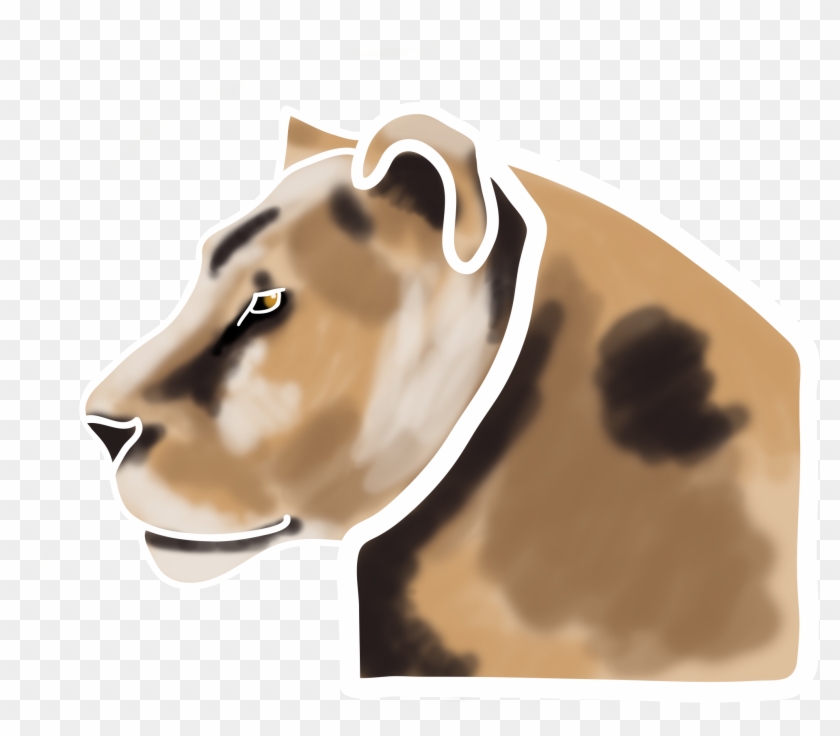 Lioness Face Concept Lioness Profile Concept - Lion Clipart #1411594
