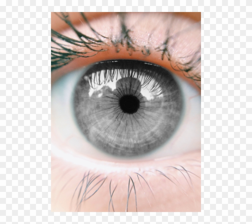 Grey Eyes , Png Download Clipart #1413170