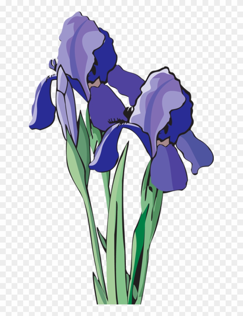 Web Design & Development - Clip Art Purple Iris Art - Png Download
