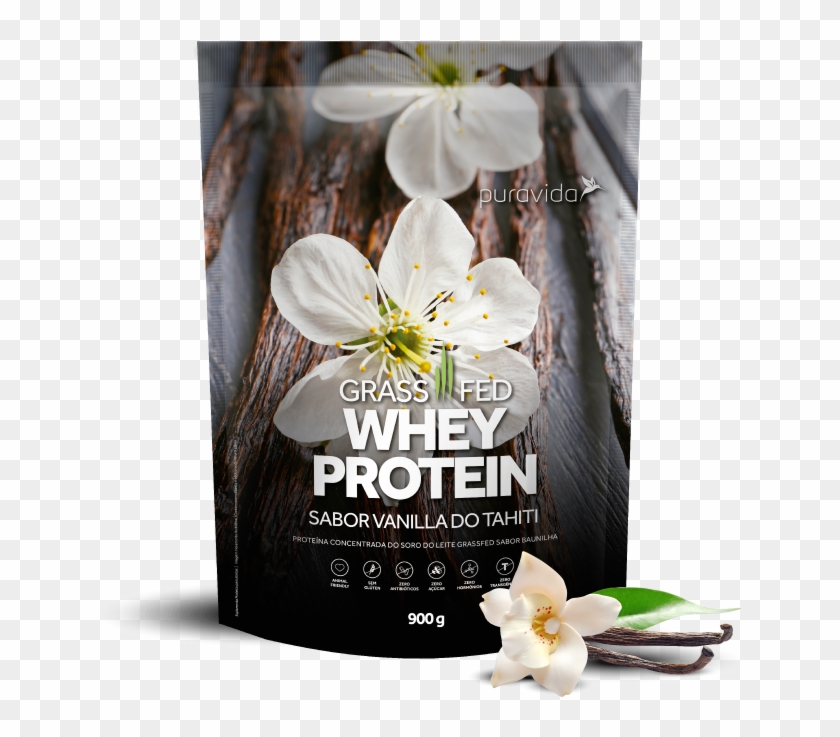 Vanilla - Proteina Pura Vida Clipart