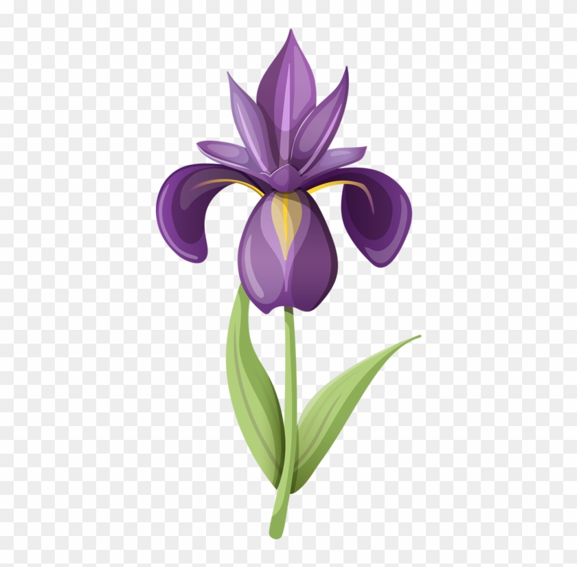 Фото, Автор Soloveika На Яндекс - Iris Clipart - Png Download #1414103
