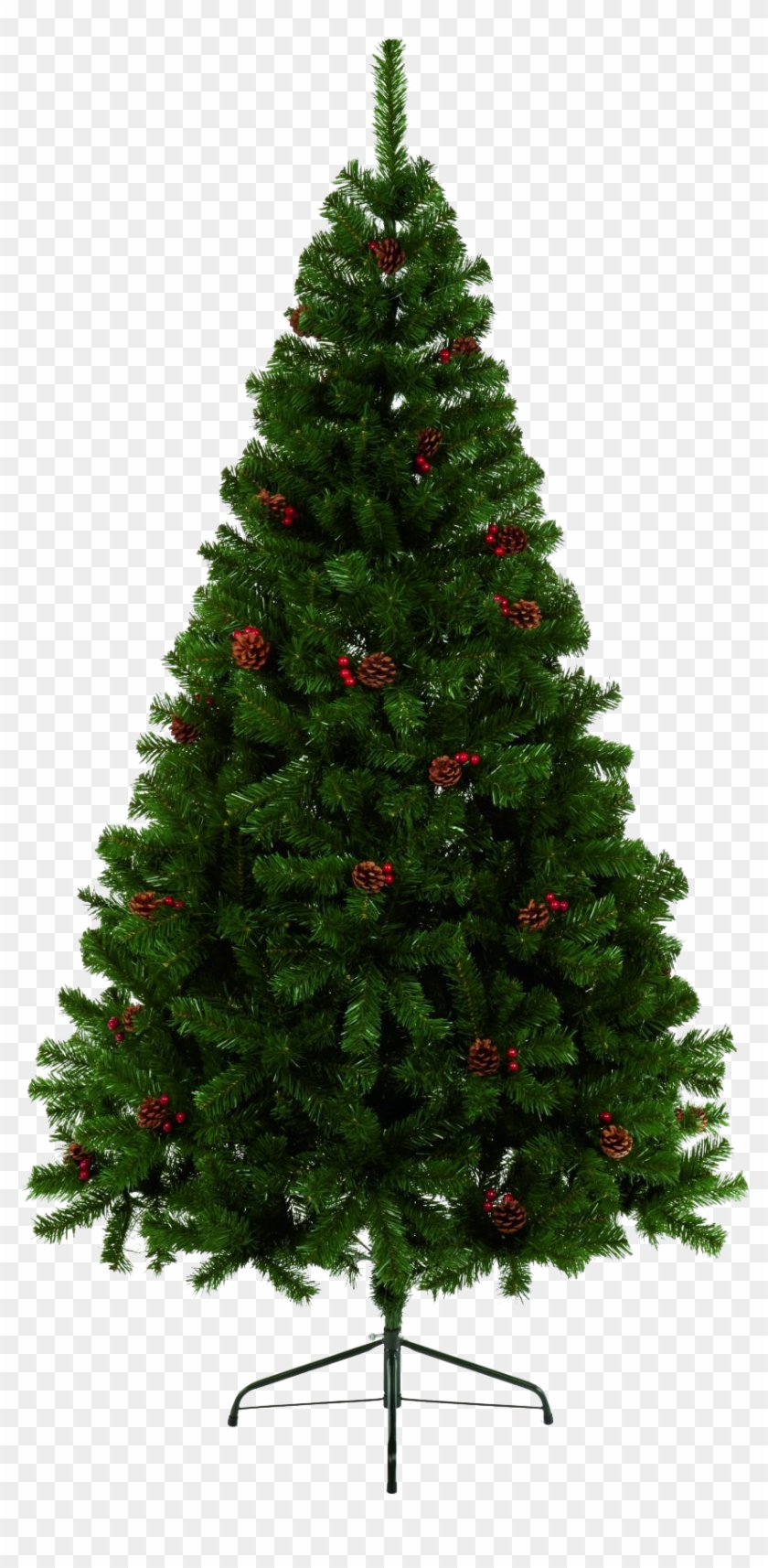 Jcpenney Christmas Tree Clipart