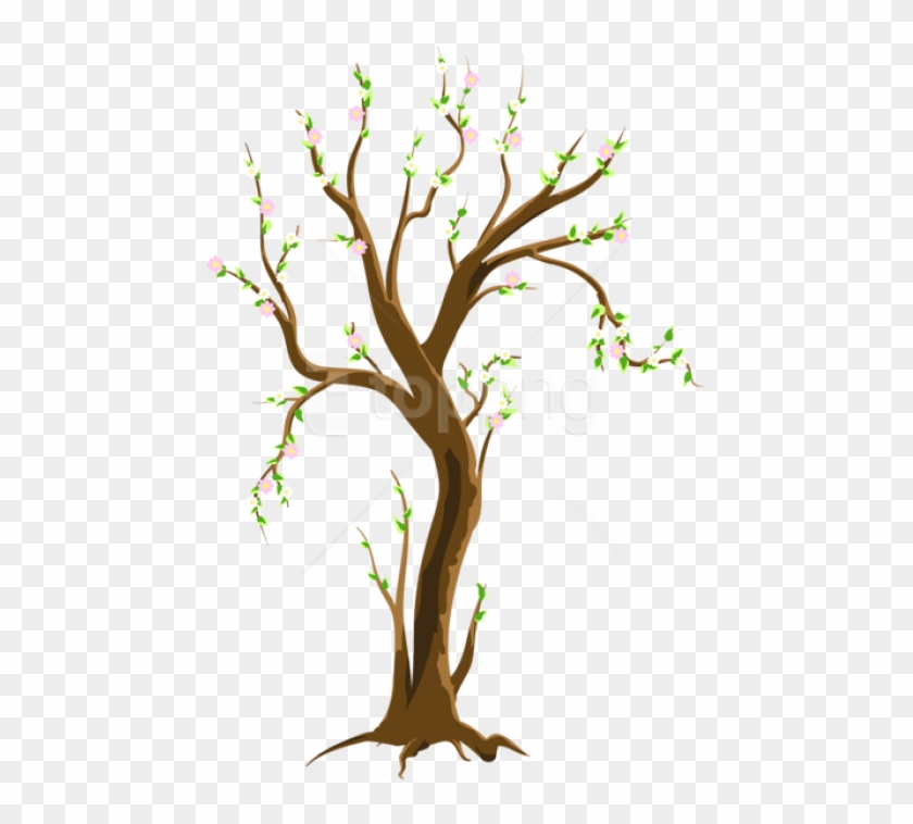 Free Png Download Spring Treepicture Png Images Background - Tree In Spring Clipart Transparent Png #1415806