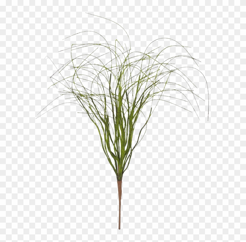 Grass Clipart #1415900