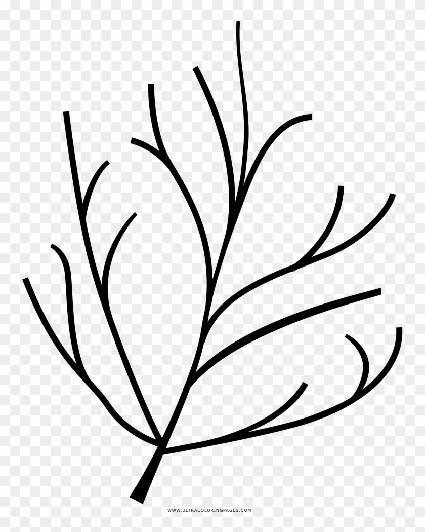 Twig Coloring Page - Icons Black And White Twig Clipart #1415958