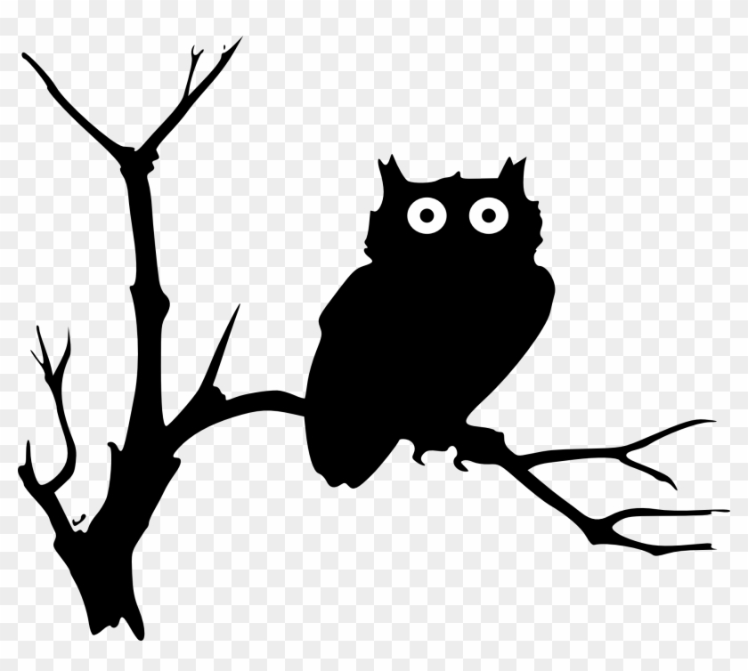 Owl Twig Branch Night Bird - Owl Clip Art - Png Download