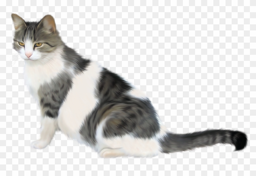 Яндекс - Фотки - Kedi Png Clipart