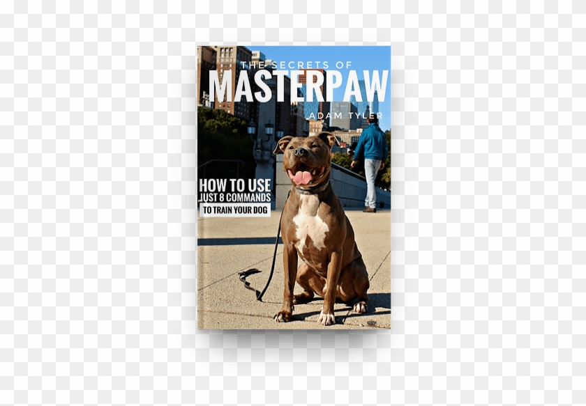 Masterpaw - Com - Dog Catches Something Clipart #1418424