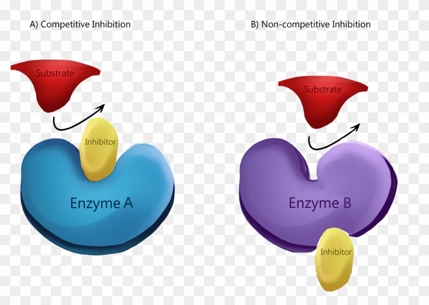 Enzyme Inhibition - Inhibitor Kompetitif Clipart