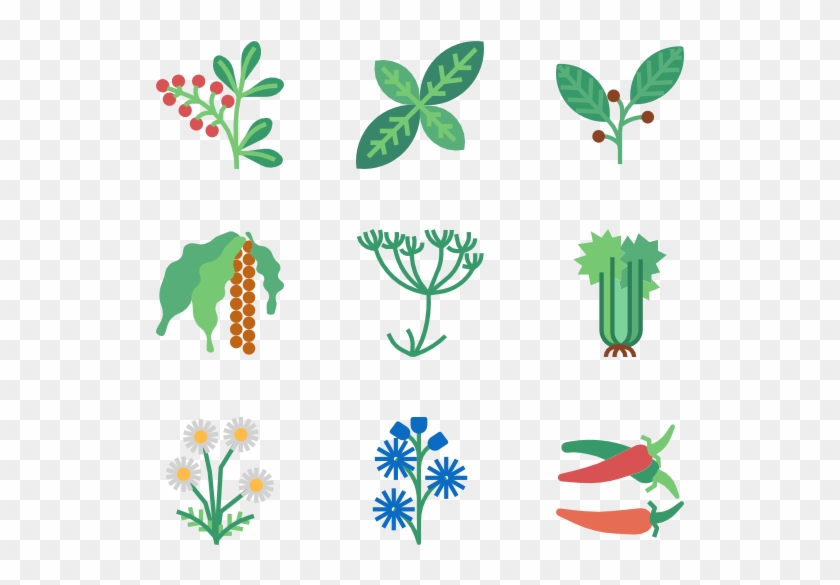Herb Clipart