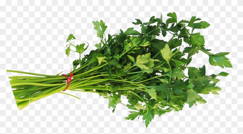 Verarbeitungssystem Petersilie - Parsley Clipart