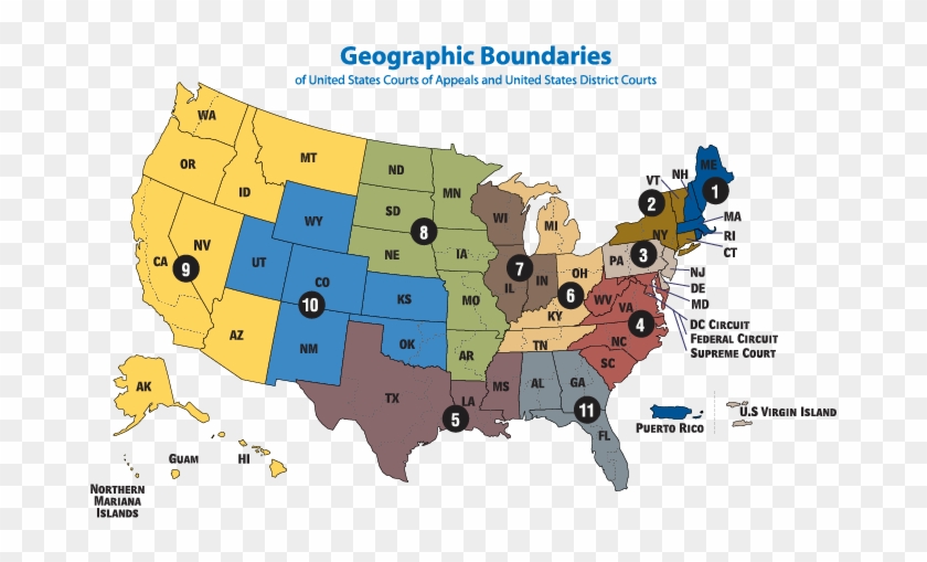 Federal Court Circuit Map - Enhanced Nurse Licensure Compact Map Clipart