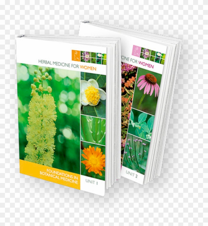 Goodness Knows, It's Time Women Had This Knowledge - Dandelion Clipart