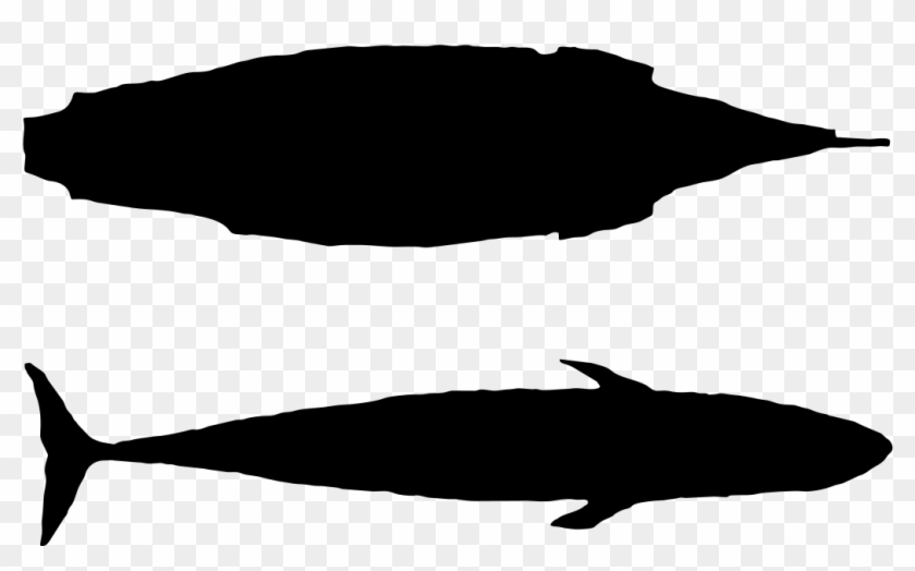 Size Comparison Of Blue Whale And The Mayflower - Whale Clipart #1421225