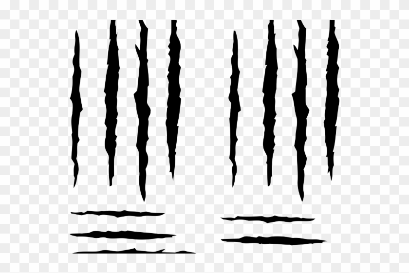 Scratches Clipart Bear Paw - Plot - Png Download