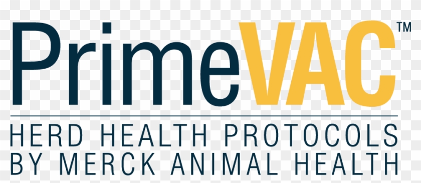 Related Products - Graphic Design Clipart