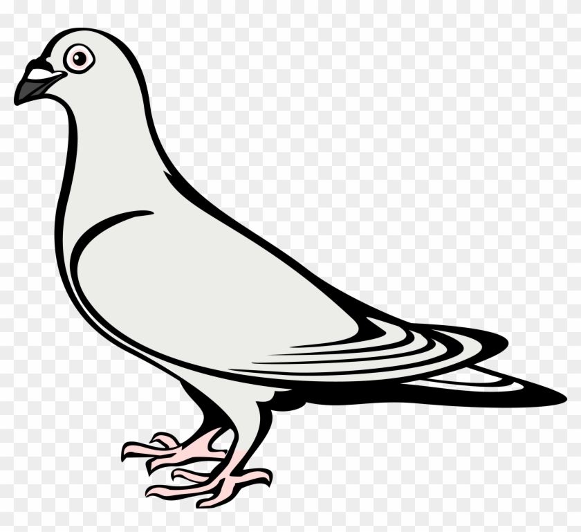 Drawn Dove Coat Arm - Coat Of Arms Dove Clipart