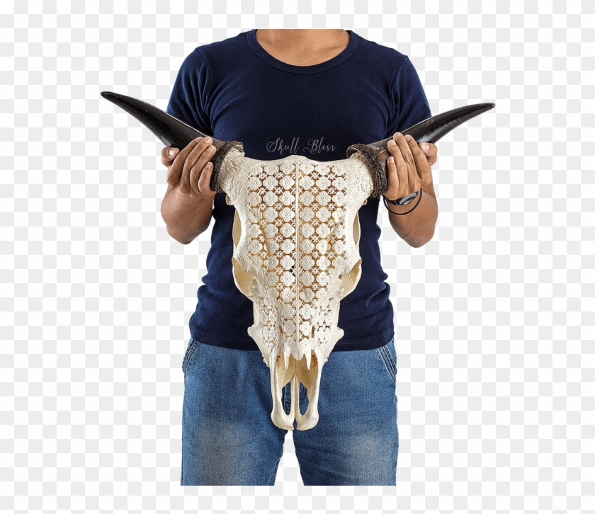 Carved Cow Skull - Firearm Clipart #1424796