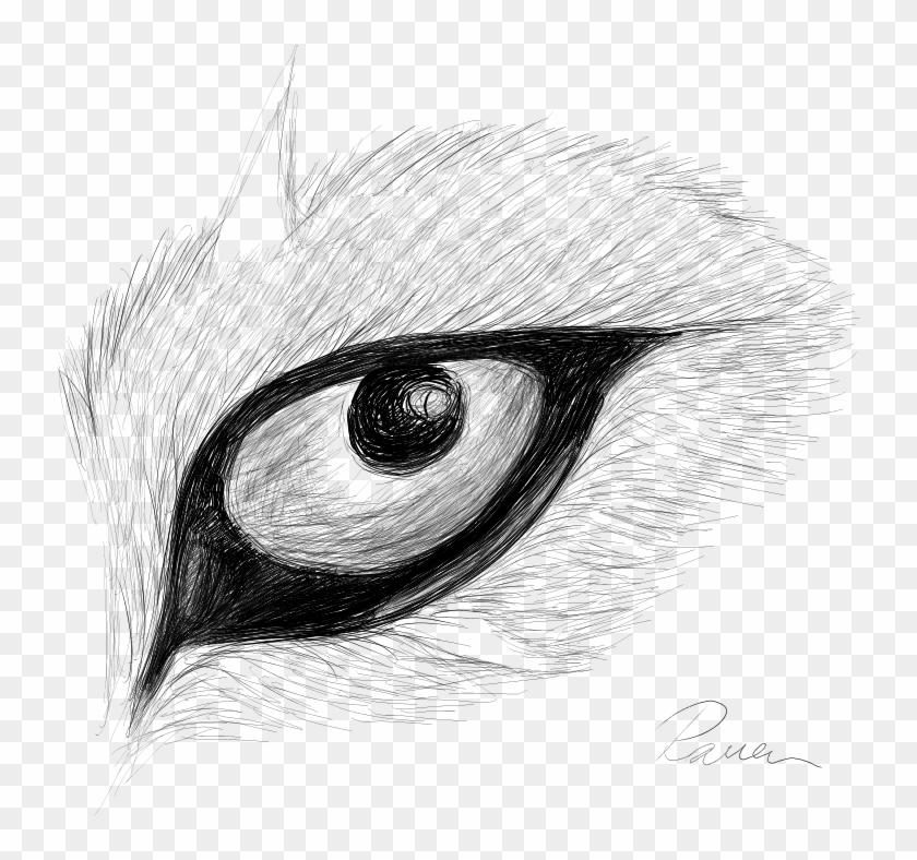 Raven S Eye - Raven Eye Drawing Clipart #1424971