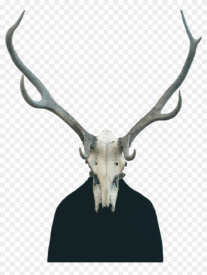 Cowhead1080p-trans - Animal Skull On Human Body Clipart #1424974