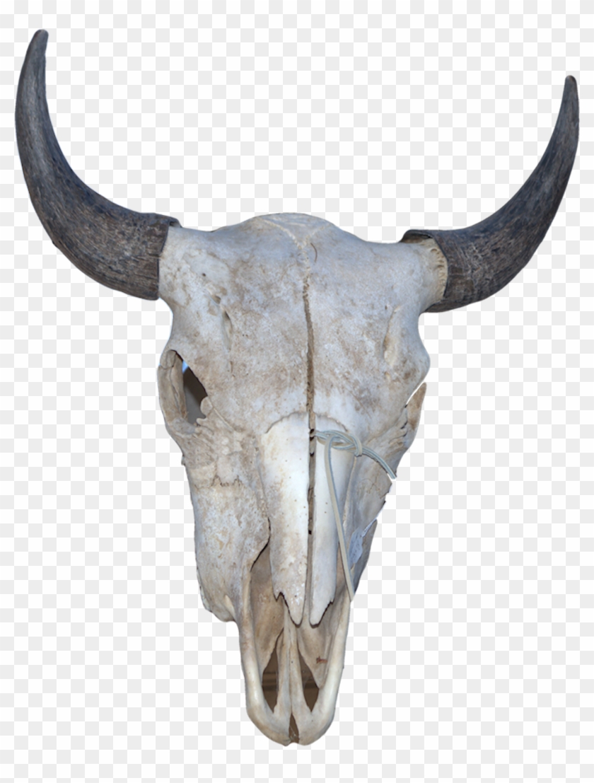 Horn Clipart #1425372