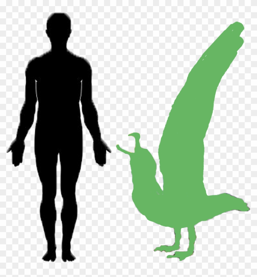 Results Coat Of Arms Blank Calendar - Silueta Del Cuerpo Humano A Color Clipart #1425398