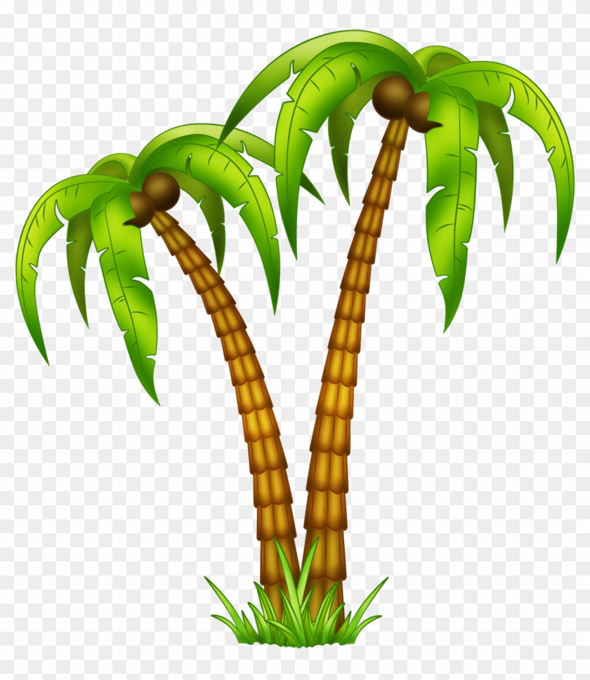 Dibujos Palmeras Png - Coconut Tree Drawing Png Clipart