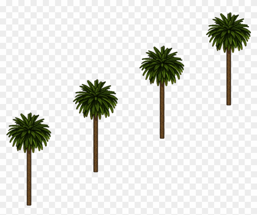 Borassus Flabellifer Clipart