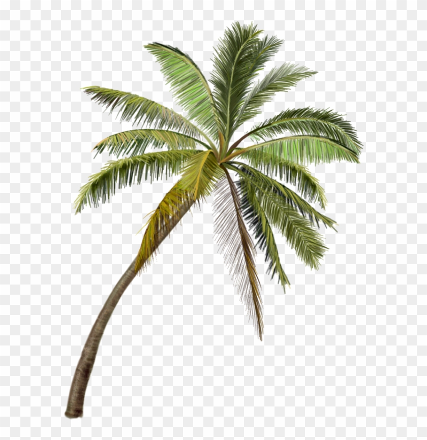 Otros Blogs Que Te Pueden Interesar - Chengcing Lake Clipart