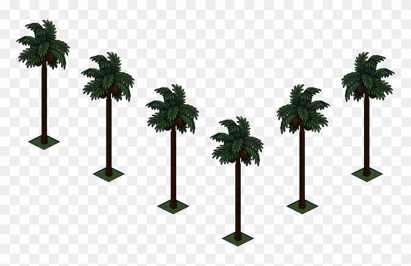 Palmeras - Attalea Speciosa Clipart