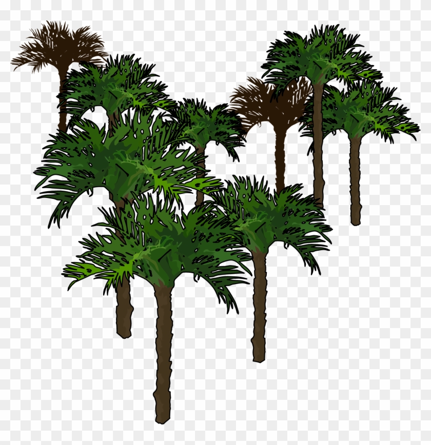 Palmeras Fondo Izquierda - Borassus Flabellifer Clipart #1426639