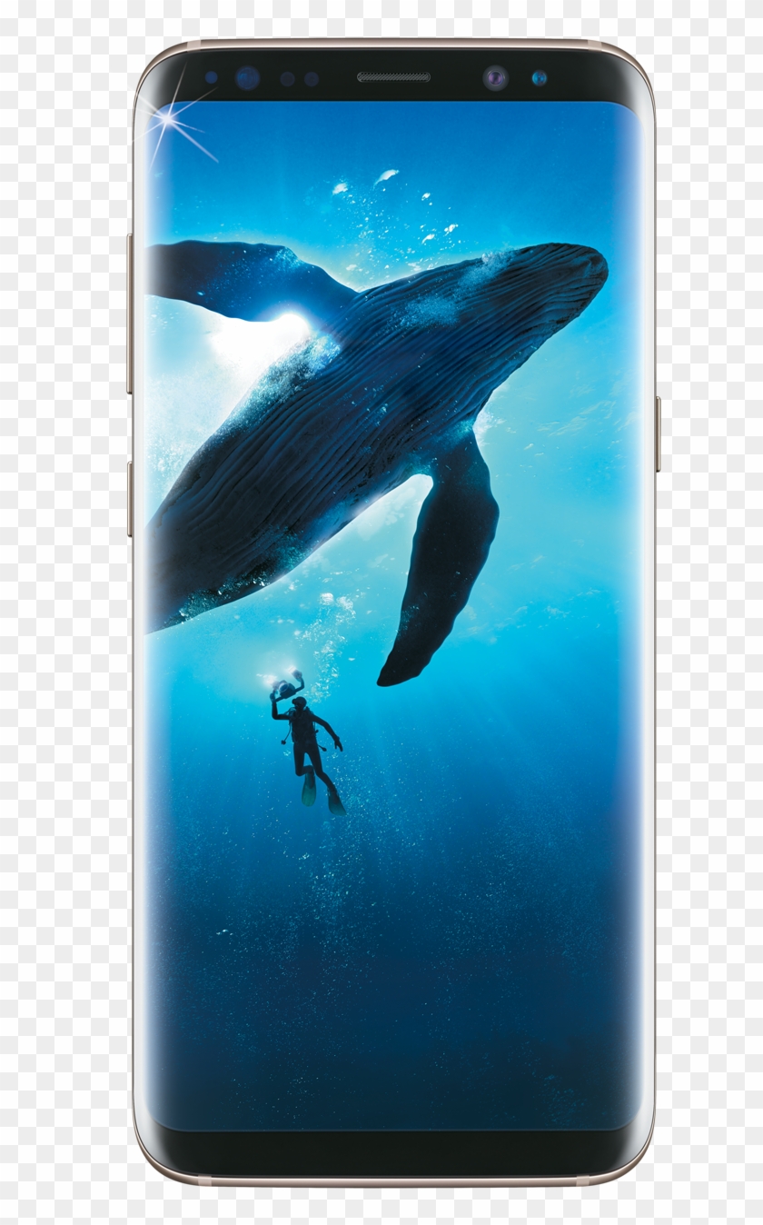 Samsung Galaxy S8 Png - Samsung Galaxy S8 Price In India Clipart #1427576