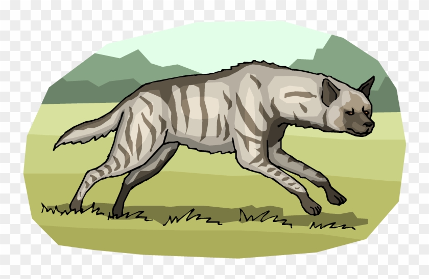Free Hyena Clipart - Striped Hyena Clipart Png Transparent Png #1428043