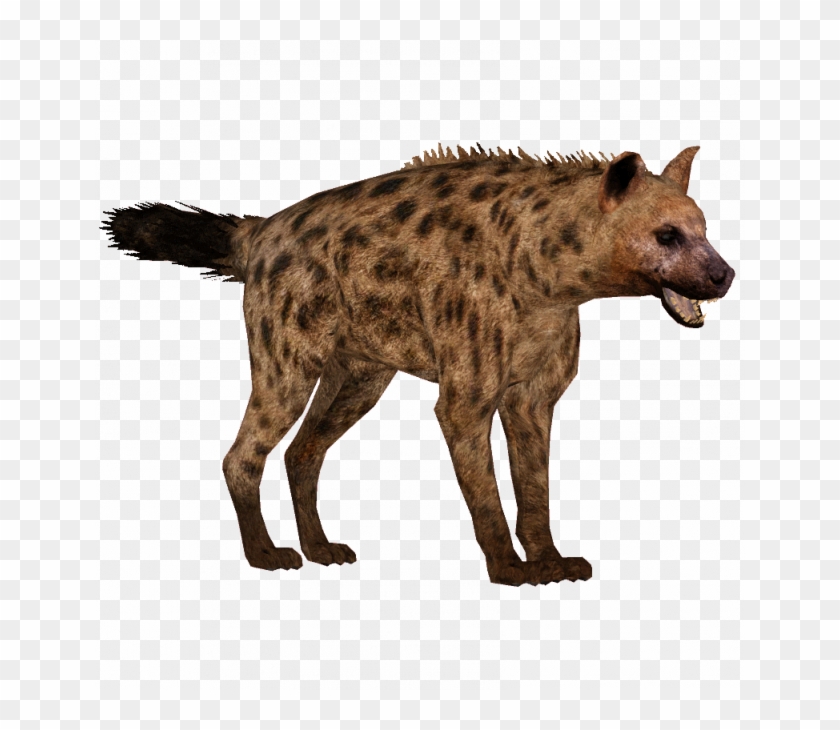 Hyena Png Clipart #1428162