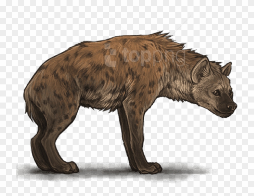 Free Png Hyena Png Images Transparent - Spotted Hyena Clipart #1428282