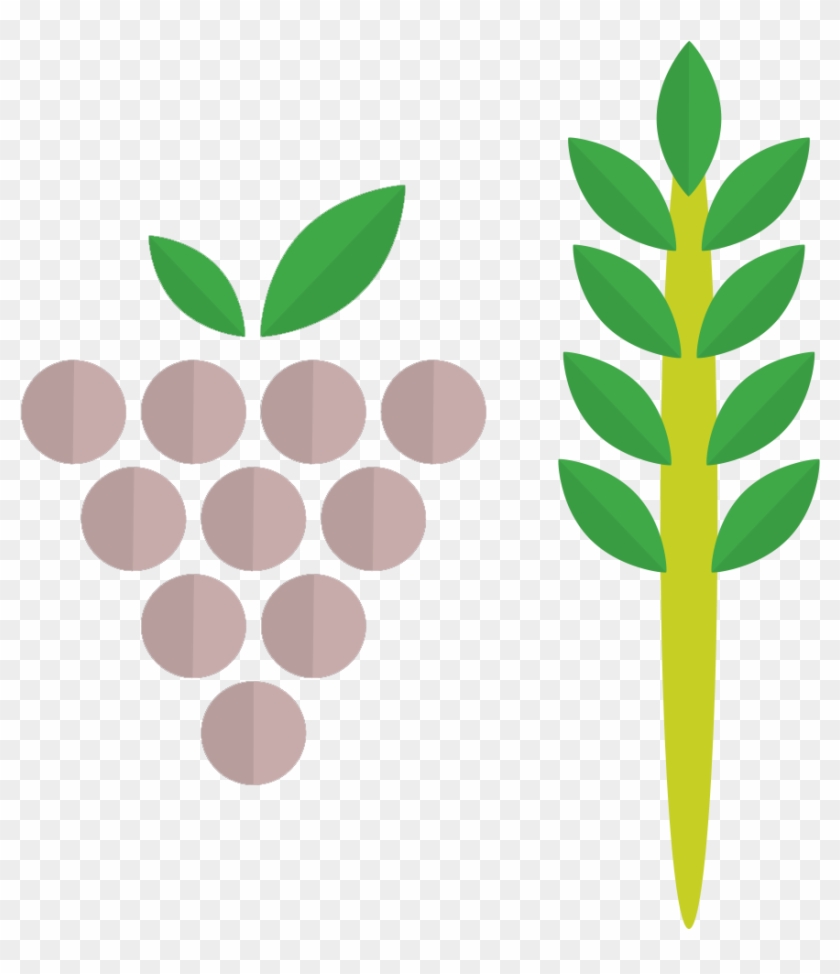 1134 X 1134 - Grape Clipart #1428765