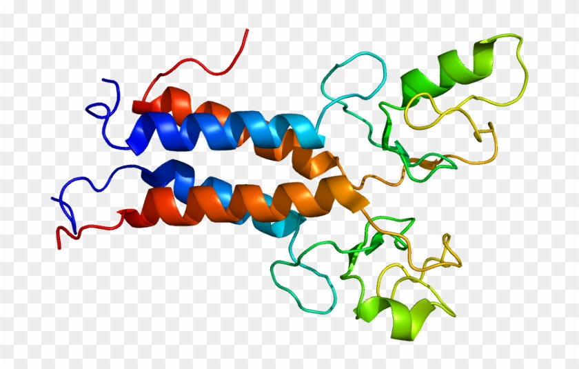 Protein Bard1 Pdb 1jm7 - Brca1 Gene Clipart #1431199