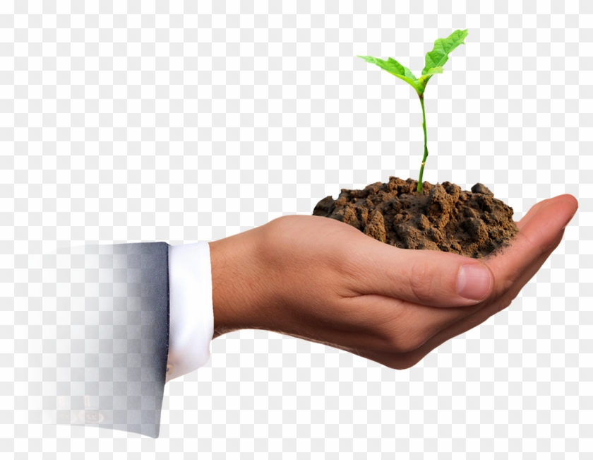 Business Grow - How To Build A Book Of Business As A New Lawyer Clipart #1431590