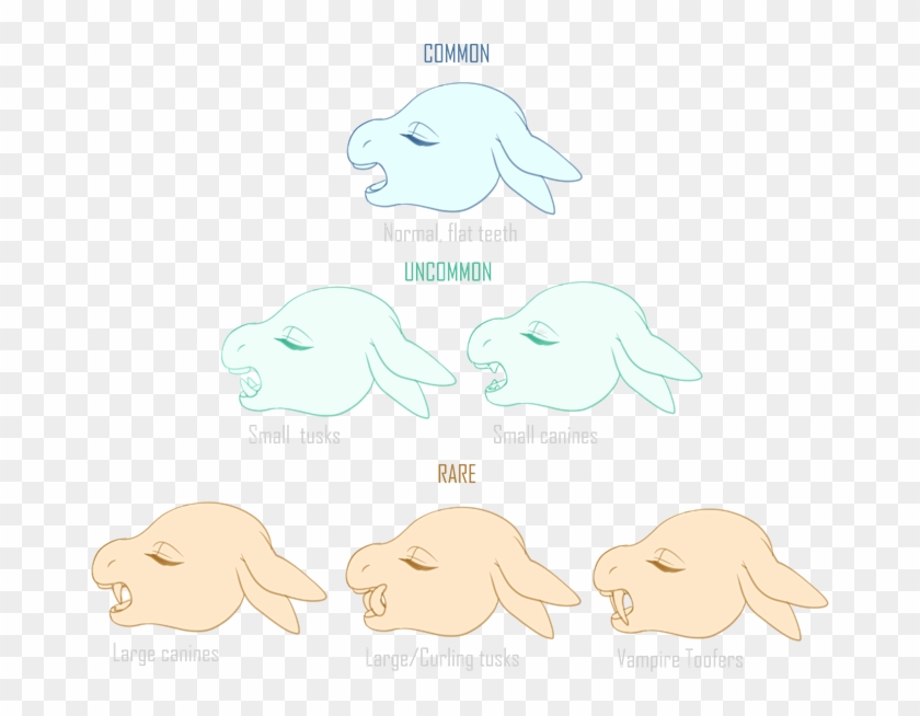 Picture - Fish Clipart #1435115