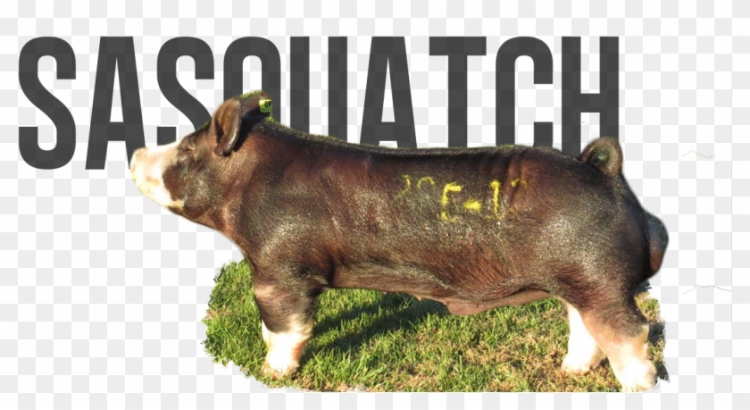 Sasquatch - Say No To Rockwool Clipart #1435314