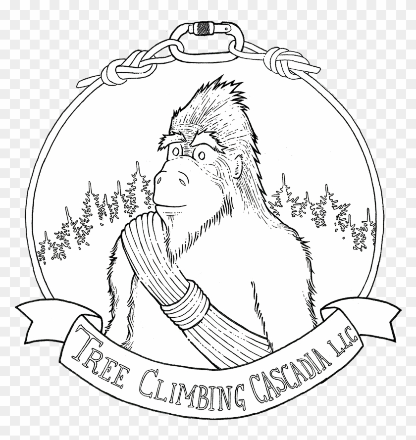 Sasquatch Is A Derivative Of The Word Sásq'ets, From - Cartoon Clipart