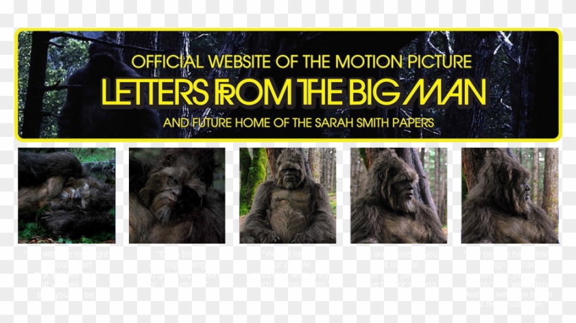 Letters From The Big Man Dvd Clipart