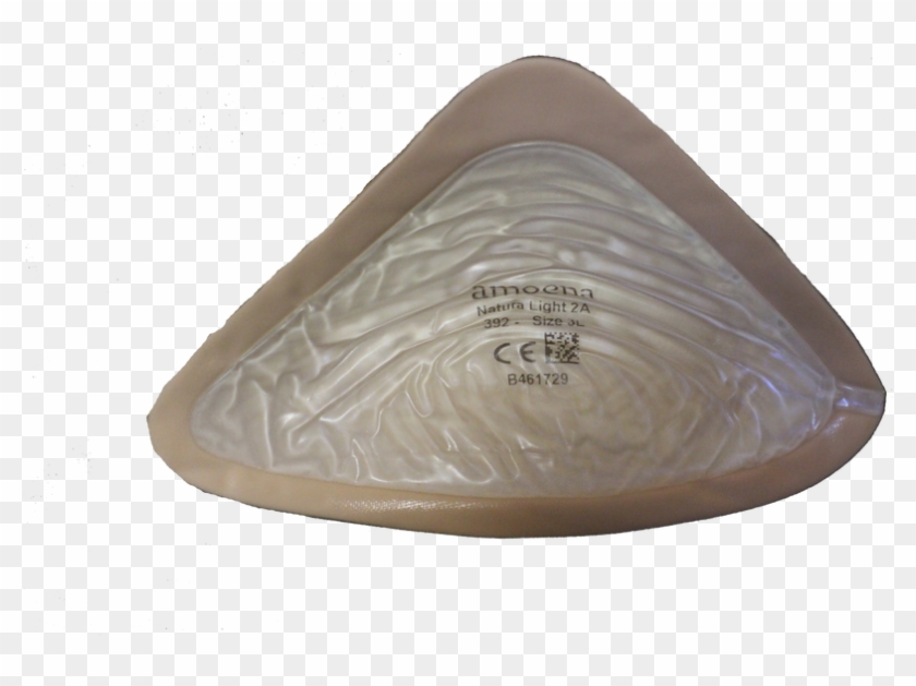 Women's Essential Prosthetic Breast - Mussel Clipart #1436419