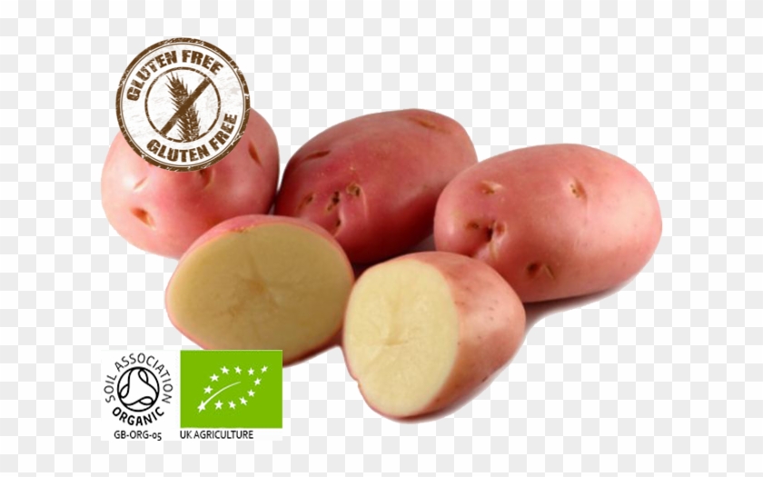Organic Desiree Potatoes - Batata Asterix Clipart #1436423
