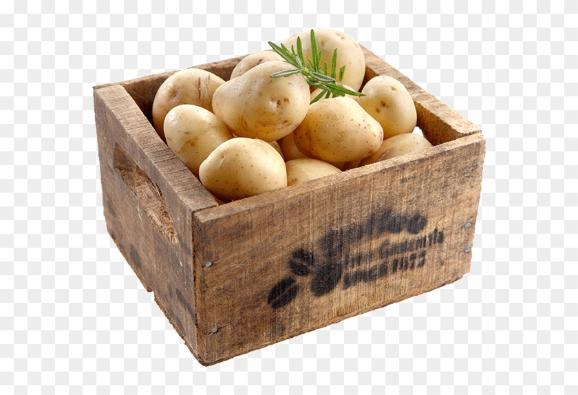 View Certified Potatoes - Russet Burbank Potato Clipart #1436448