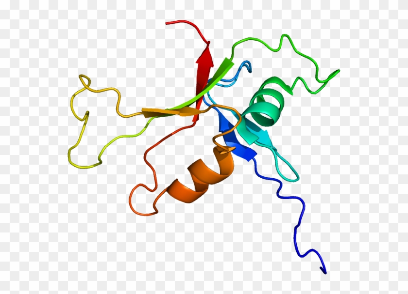 Protein Plce1 Pdb 2bye - Graphic Design Clipart