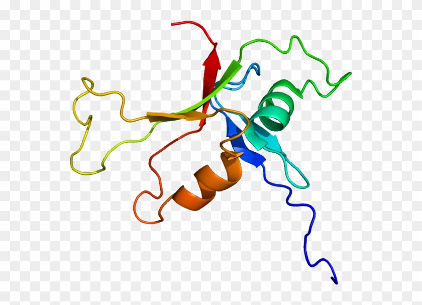 Protein Plce1 Pdb 2bye - Graphic Design Clipart #1437284