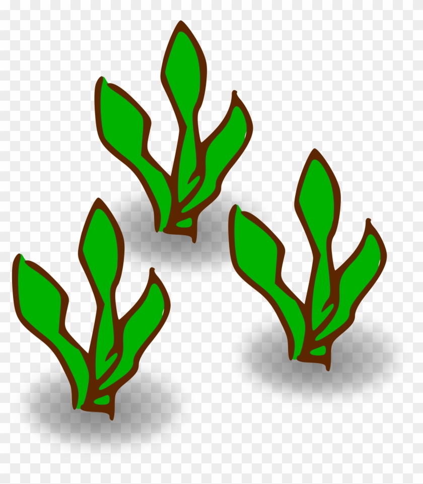 This Free Icons Png Design Of Kelp Forest Heavy Clipart #1437829
